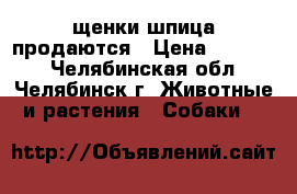 щенки шпица продаются › Цена ­ 15 000 - Челябинская обл., Челябинск г. Животные и растения » Собаки   